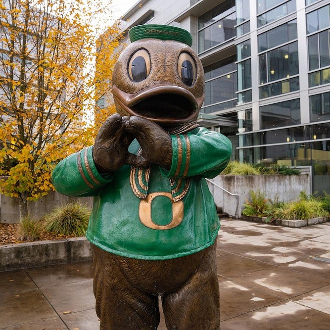 Duck 
