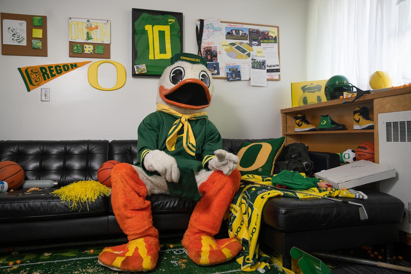 The Oregon Duck mascot sitting in an apartment decorated with University of Oregon gear