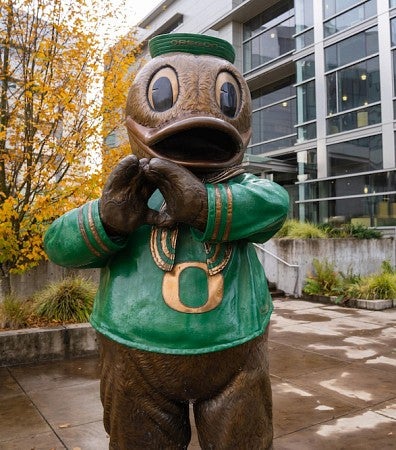 Duck 