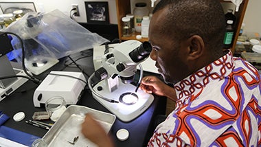 GOC science GOC science
